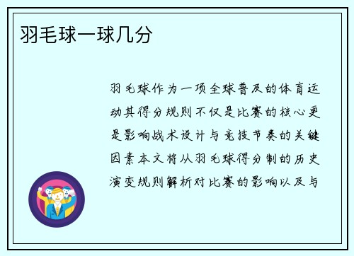 羽毛球一球几分