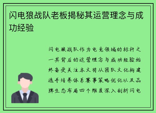 闪电狼战队老板揭秘其运营理念与成功经验