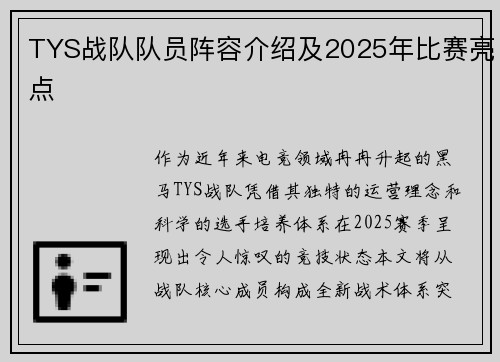 TYS战队队员阵容介绍及2025年比赛亮点